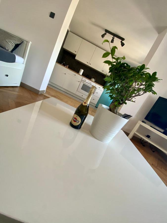 Apartamenty Pod Zabami Nr 2 Бельсько-Бяла Екстер'єр фото