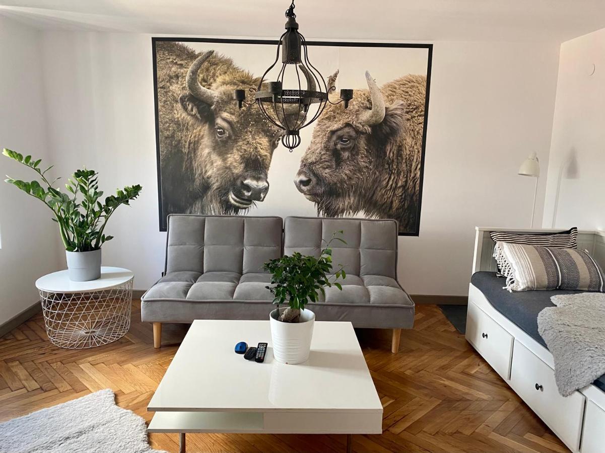 Apartamenty Pod Zabami Nr 2 Бельсько-Бяла Екстер'єр фото